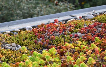 the cost of Criggion green roof installation