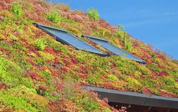 Criggion living roof systems