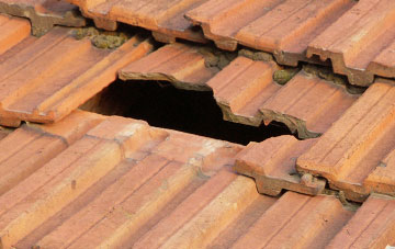 roof repair Criggion, Powys