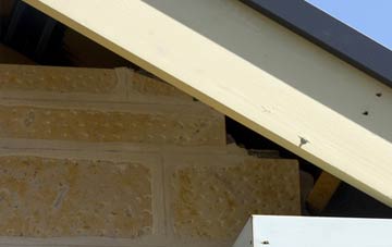 soffit repair Criggion