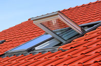 Criggion roof window